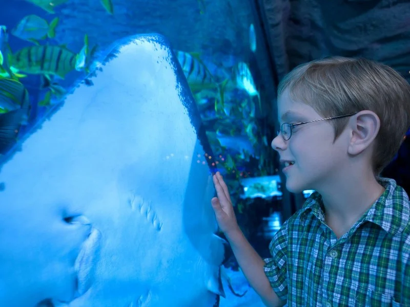 Top 10 Reasons to Visit Houston, Texas, US
