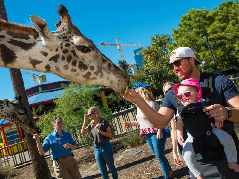 Top 10 Reasons to Visit Houston, Texas, US