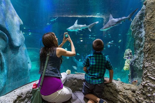 10 Exciting Things To Do In Orlando, FLORIDA, US !