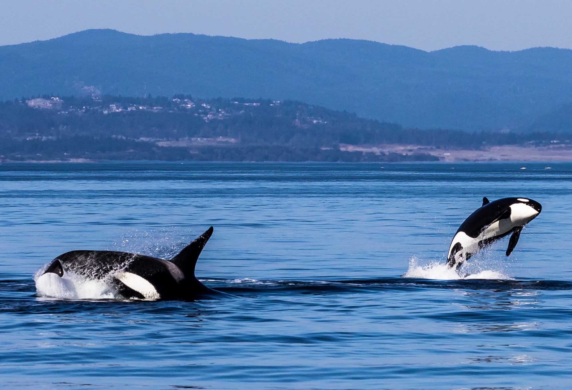 13 Best Things To Do In British Columbia, CANADA
