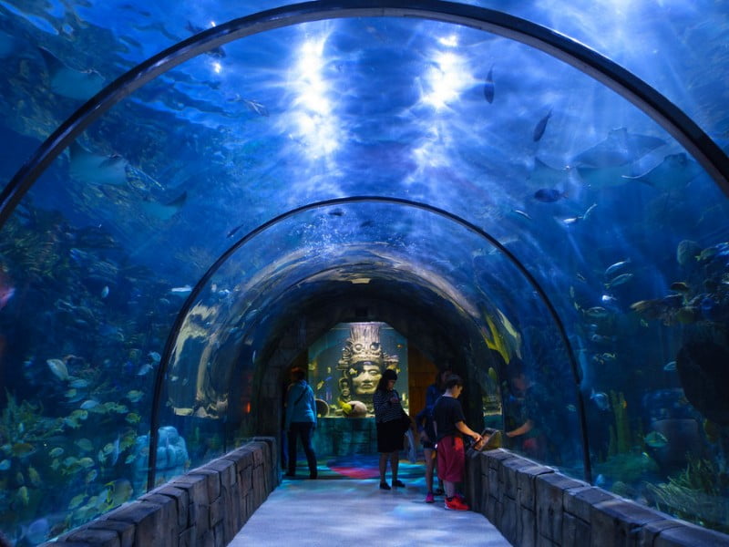 Audobon Aquarium of the Americas - Pustly.Com