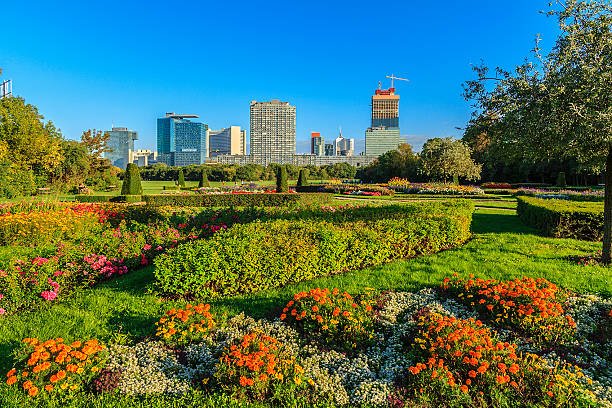 The Top 10 Things To See & Do In Vienna