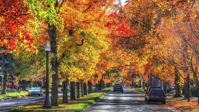 Boise, Idaho - The Best 10 Fall Road Trip Destinations For Stunning Scenery in The U.S !