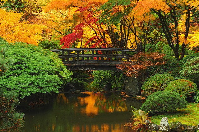 The Best 10 Fall Road Trip Destinations For Stunning Scenery in The U.S ! - Portland Japanese Garden, Oregon