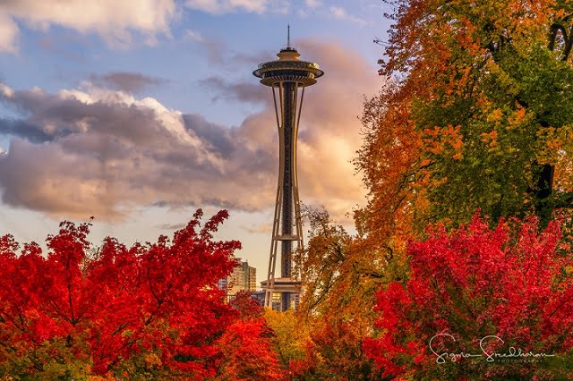 The Best 10 Fall Road Trip Destinations For Stunning Scenery in The U.S ! - Seattle, Washington