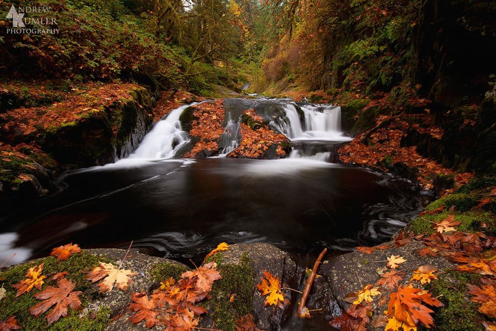 The Best 10 Fall Road Trip Destinations For Stunning Scenery in The U.S ! - Sweet Creek Trail, Oregon