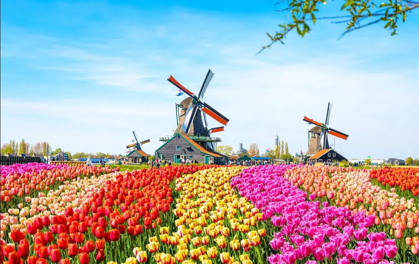 15 Most Developed Countries to Live in the World 2022 : The Netherlands