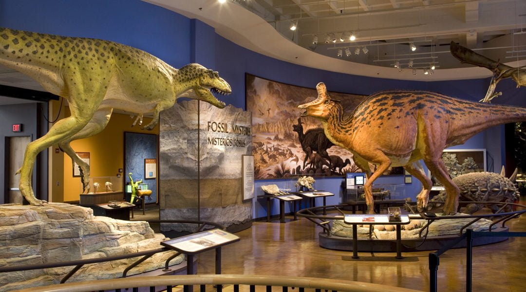 10 Top-Rated Tourist Attractions in San Diego, US - San Diego Natural History Museum
