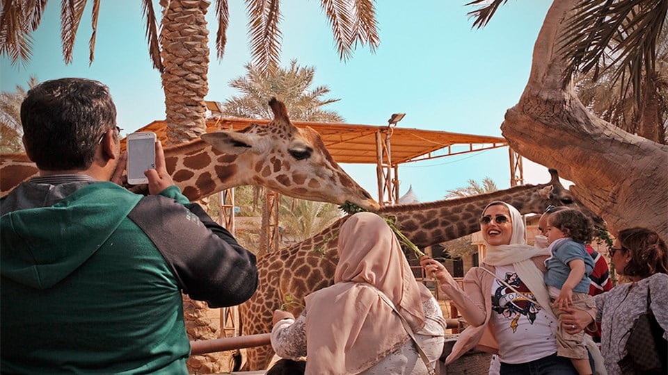 emirates park zoo - Pustly.Com