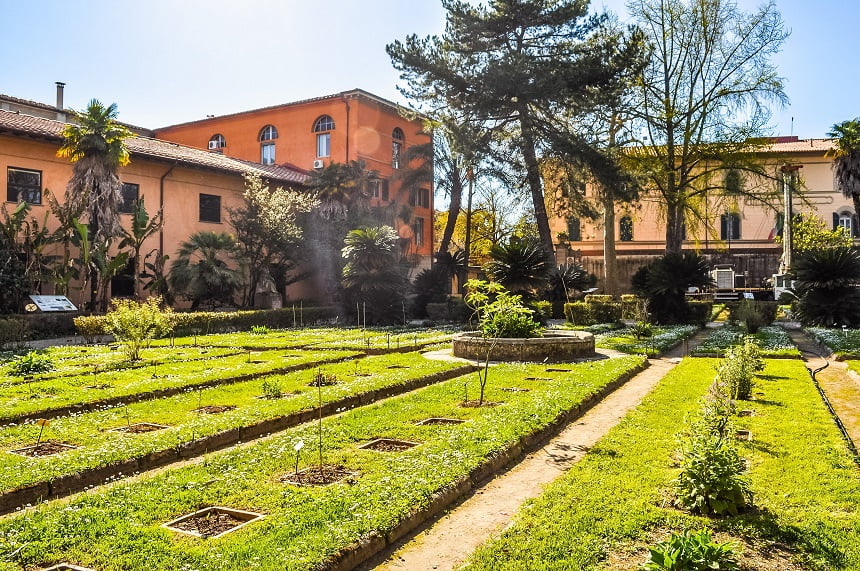 University Of Pisa Botanical Gardens - Pustly.Com