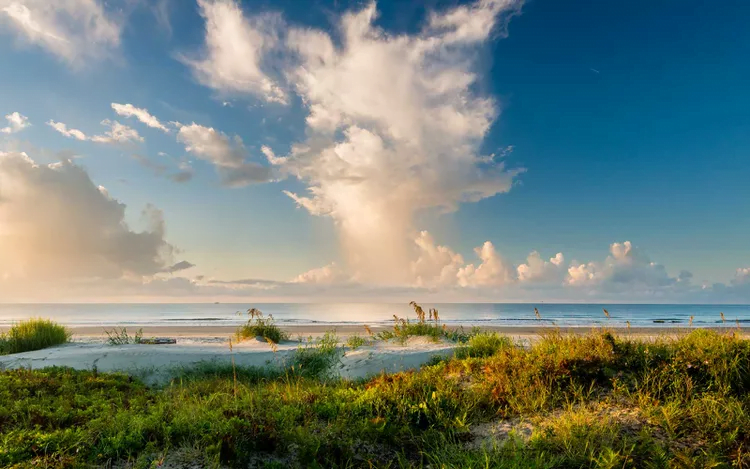 Best Beaches in South Carolina for 2023-2024