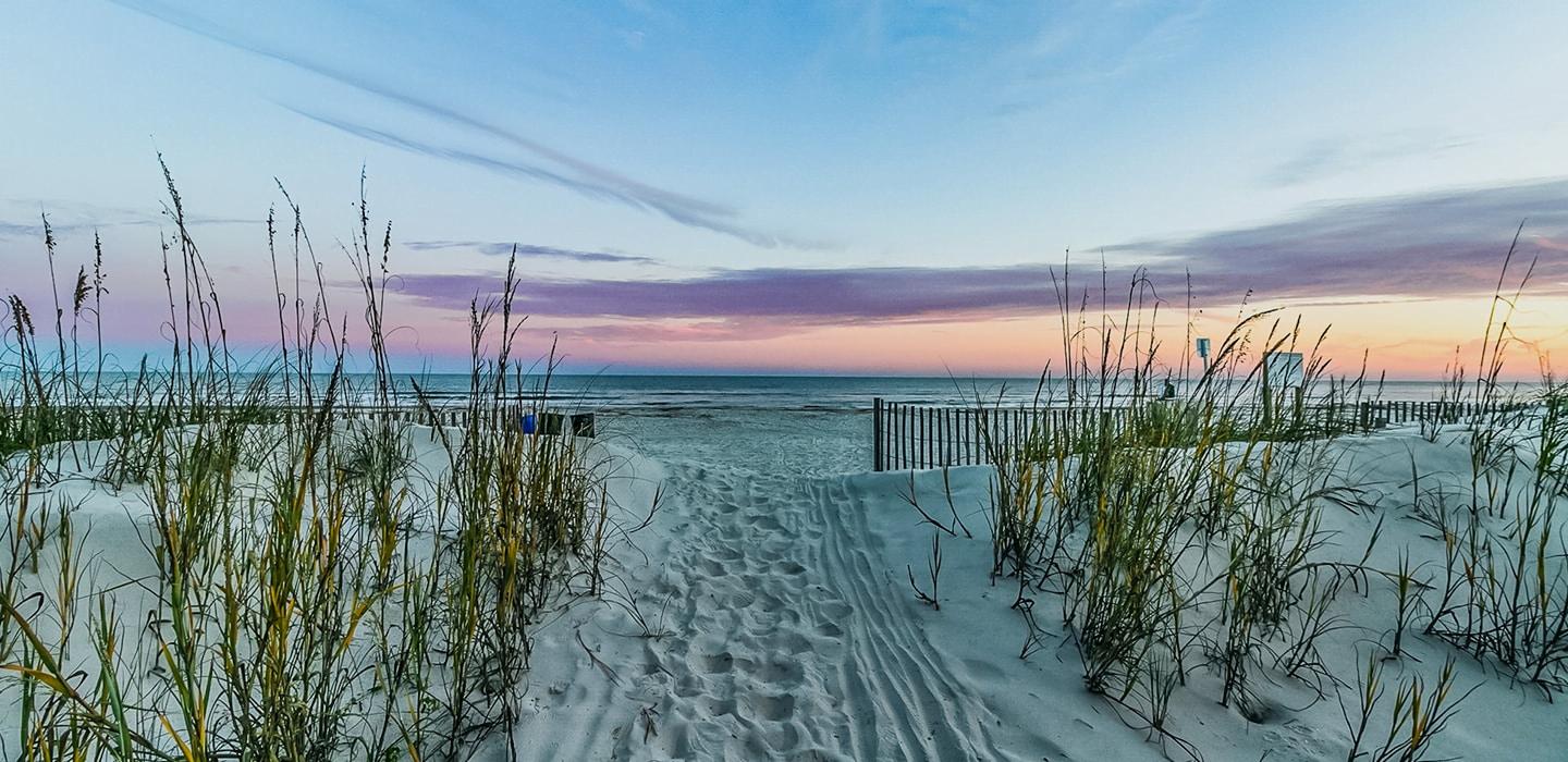Best Beaches in South Carolina for 2023-2024
