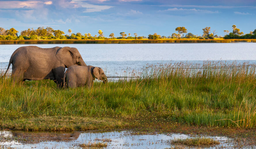 15 Best Places to Visit in Africa in 2023-2024