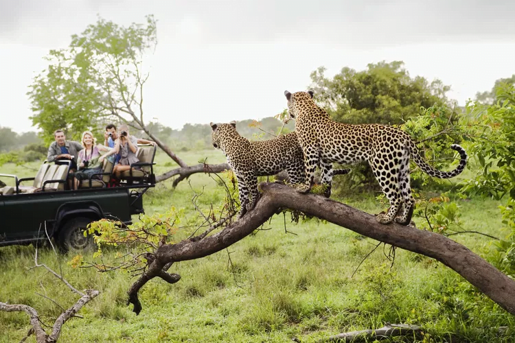 15 Best Places to Visit in Africa in 2023-2024