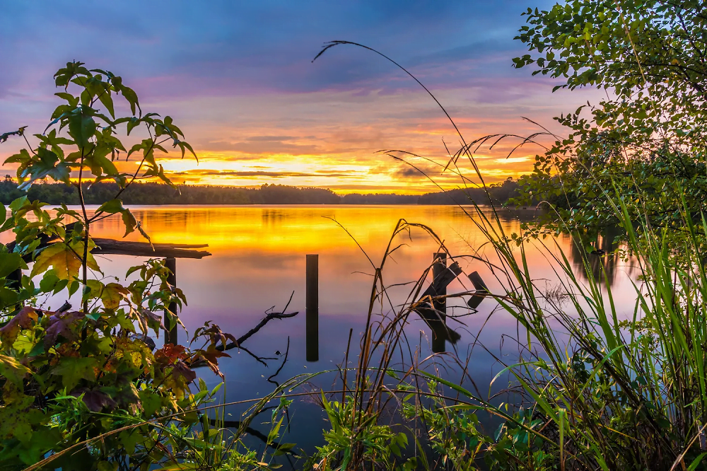 15 Most Beautiful Places to Visit in Mississippi 2023-2024