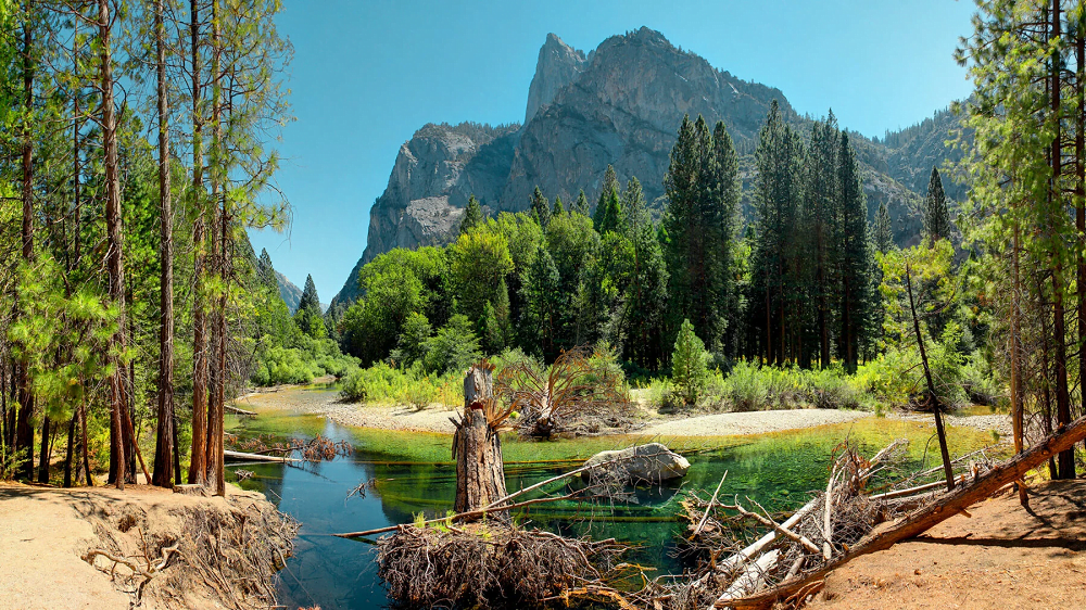 9 Best National Parks in California, USA to Visit in 2023-2024