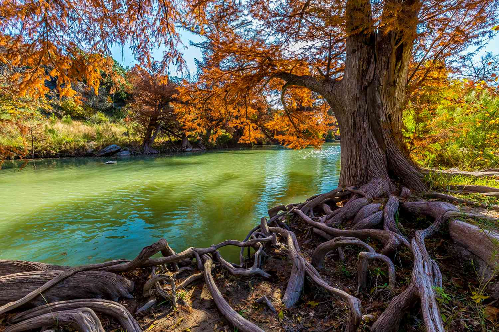The 10 Best National Parks in Texas to Visit in 2023-2024