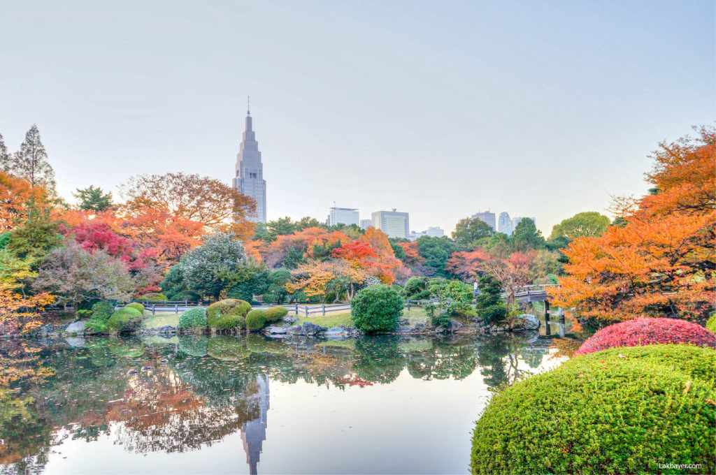 15 Best Things to Do in Tokyo, Japan