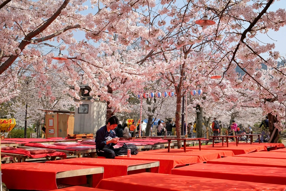 15 Best Things to Do in Kyoto, Japan
