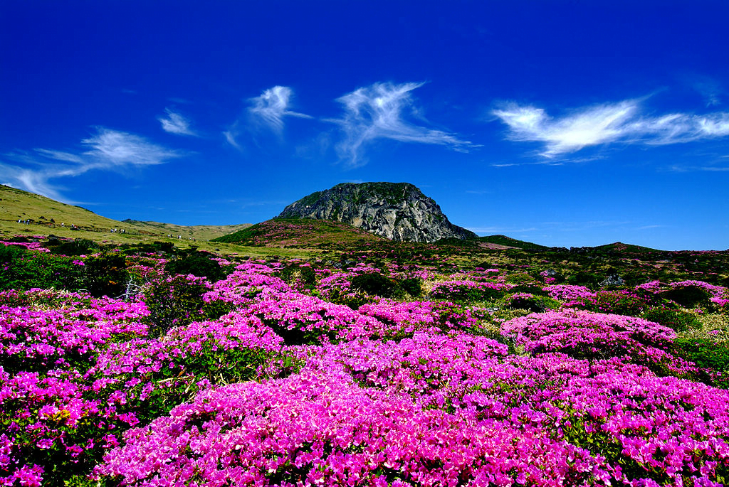 10 Best Things to Do in Jeju, Korea