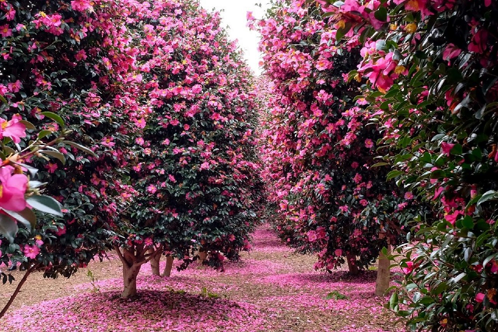 10 Best Things to Do in Jeju, Korea