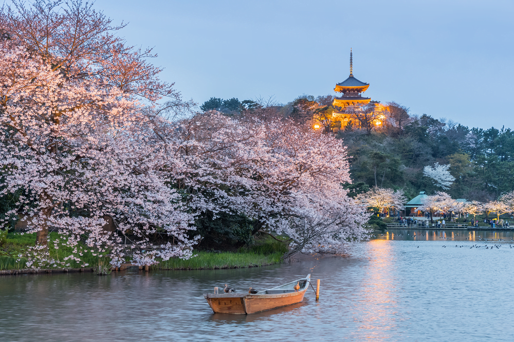 15 Best Things to Do in Yokohama, Japan