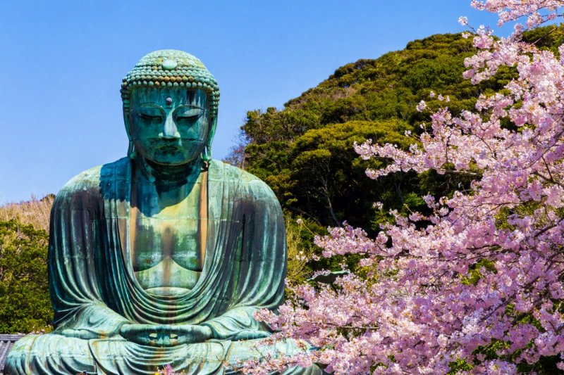 15 Best Things to Do in Yokohama, Japan