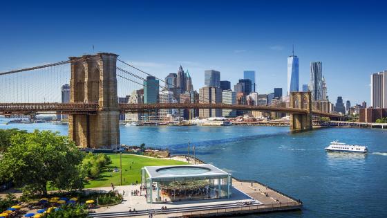 19 Best Things to Do in New York, USA 2023-2024