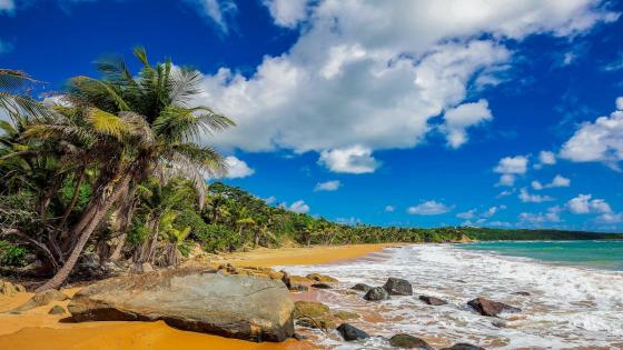 The 10 Best Beaches in Puerto Rico in 2022