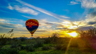 24 Best Things to Do in Phoenix, Arizona 2023-2024