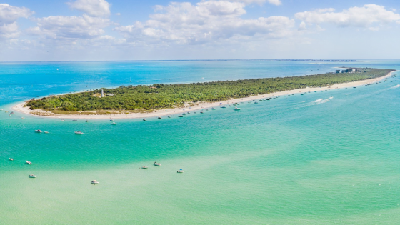 24 Best Things to Do in St. Petersburg, Florida 2023-2024