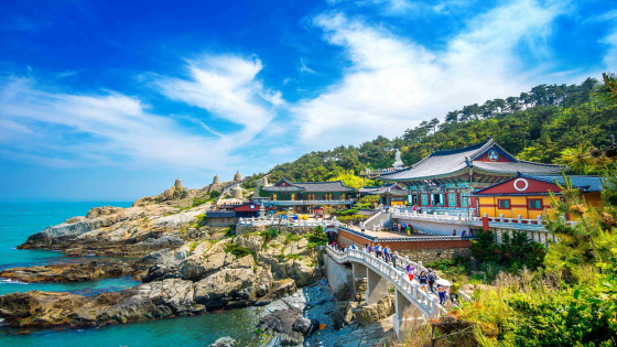 10 Best Things to Do in Busan, Korea