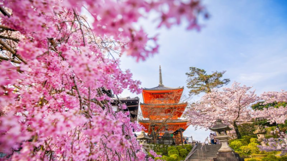 15 Best Things to Do in Kyoto, Japan
