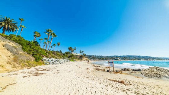 15 Best Beaches in California 2023-2024