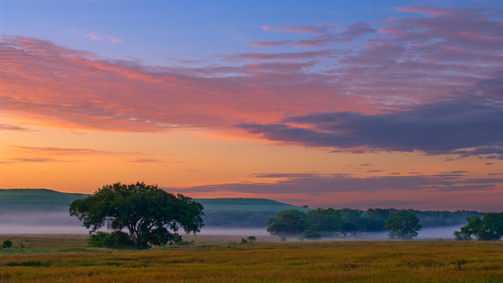 15 Most Beautiful Places to Visit in Oklahoma 2023-2024