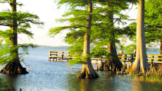 15 Most Beautiful Places to Visit in Tennessee 2023-2024