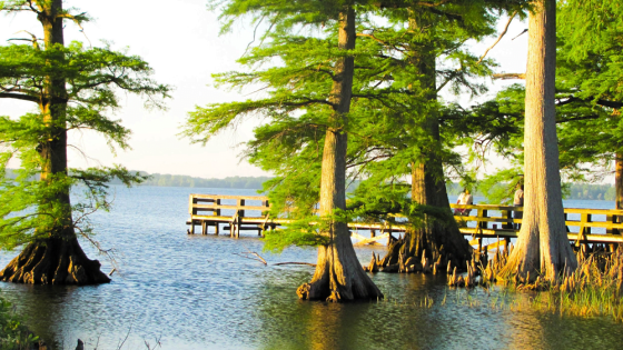 15 Most Beautiful Places to Visit in Tennessee 2023-2024