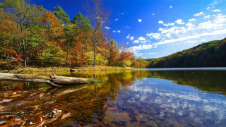 15 Most Beautiful Places to Visit in Indiana 2023-2024