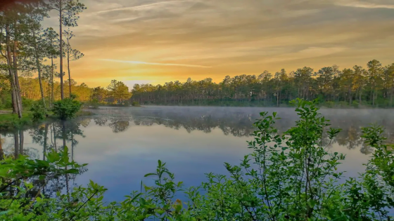 15 Most Beautiful Places to Visit in Mississippi 2023-2024