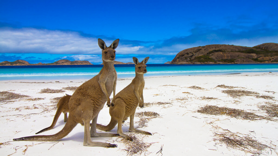 20 Best Places to Visit in Australia and The Pacific in 2023-2024