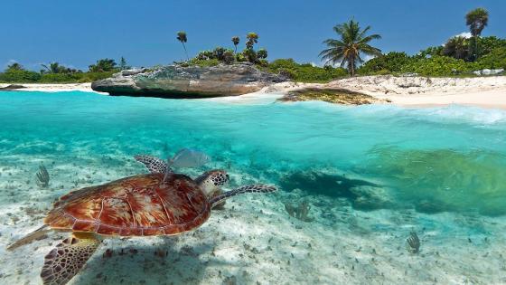 The 10 BEST Beaches In Mexico (2022)